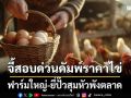 จี้สอบด่วนดัมพ์ราคาไข่ ฟาร์มใหญ่-ยี่ปั๊วสุมหัวพังตลาด