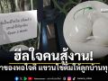 เจ้าของหอใจดี แขวนไข่ต้มให้ลูกบ้านทุกห้อง ฮีลใจคนสู้งานช่วงปลายเดือน