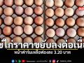 ไข่ไก่ขยับลงต่อเนื่อง กรมปศุสัตว์ ชี้ อากาศเย็นทำผลผลิตล้นตลาด ล่าสุดราคาหน้าฟาร์มเหลือฟองละ 3.20 บาท
