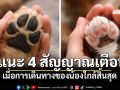 หมอข้าวโพด แนะ 4 สัญญาณเตือน เมื่อการเดินทางของน้องใกล้สิ้นสุด