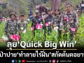 ลุย Quick Big Win! บุกป่าอำเภอปาย \'ตัดฟันทำลายไร่ฝิ่น\' สกัดต้นตอยาเสพติด