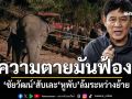 ชัยวัฒน์ สับเละ สีดอหูพับล้มระหว่างย้าย ช้างพูดไม่ได้แต่ความตายมันฟ้องกว่าคำชี้แจง