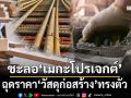 ชะลอ‘เมกะโปรเจกต์’ ฉุดราคา‘วัสดุก่อสร้าง’ทรงตัว