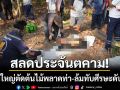 สลดประจันตคาม! ชายวัย 64 ปีตัดไม้ในสวนพลาดท่า-ต้นไม้ล้มทับศีรษะดับคาที่