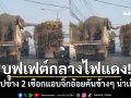 บุฟเฟต์กลางไฟแดง! คลิปช้าง 2 เชือกแอบจิ๊กอ้อยคันข้างๆ น่าเอ็นดู