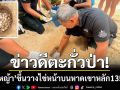 ข่าวดีพังงา! ‘เต่าหญ้า’ ขึ้นวางไข่หน้าหาดเขาหลัก จนท.เร่งย้ายหลุม-ลุ้นฟักเป็นตัว