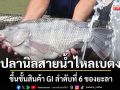 ปลานิลสายน้ำไหลเบตง ขึ้นชั้นสินค้า GI ลำดับที่ 6 ของยะลา