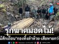 รุกฆาตมอดไม้! ‘ยึดไม้สักเถื่อน’ แปรรูปกองทิ้งลำห้วย-รัฐเสียหายกว่าแสนบาท