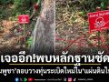 เจออีก!พบหลักฐานชัด กัมพูชาลอบวางทุ่นระเบิดใหม่ในแผ่นดินไทย