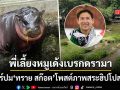เพจขาหมูฯ เคลียร์ดรามา ทราย สก๊อต โพสต์สระฮิปโปสกปรก กางแผนบ้านใหม่ หมูเด้ง สุดอลังการ
