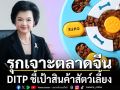 DITP ชี้เป้าขายสินค้าสัตว์เลี้ยงตลาดจีนย้ำต้องเน้นคุณภาพและมาตรฐาน