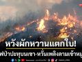 หวังผักหวานแตกใบ! ทำไฟป่าปะทุบนภูเขาท่าพล-หวั่นลมโหมเพลิงลามเข้าหมู่บ้าน