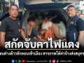สกัดจับคาไฟแดง รวบเก๋งขนต่างด้าวลักลอบเข้าเมือง สารภาพได้ค่าจ้างส่งสมุทรสาคร