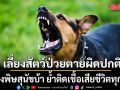 เตือน! เลี่ยงสัตว์ป่วยตายผิดปกติ เสี่ยงพิษสุนัขบ้า ย้ำติดเชื้อ-แสดงอาการแล้วเสียชีวิตทุกราย