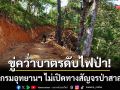แม่ฮ่องสอนเดือด! ‘อบต.ขู่คว่ำบาตรดับไฟป่า’ หากกรมอุทยานฯไม่เปิดถนนป่าสาละวิน