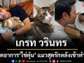 ‘เกรท-วรินทร’ อัปเดตอาการป่วย ‘ไข่ตุ๋น’ แมวสุดรักหลังเข้าทำ MRI