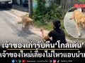 น้ำตาคลอ! เจ้าของเก่ารับคืน \'เจ้าโกลเด้น\' คาดเจ้าของใหม่เลี้ยงไม่ไหว แอบนำมาทิ้ง