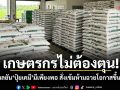 เกษตรกรไม่ต้องตุน! รัฐบาลยันปุ๋ยเคมีมีเพียงพอ สั่งเข้มห้ามฉวยโอกาสขึ้นราคา