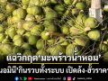 ชำแหละยับวิกฤตราคา‘มะพร้าวน้ำหอม’ แฉนอมินีกินรวบทั้งระบบ เปิดล้ง-ฮั้วราคา