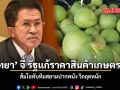 วิทยา จี้ รัฐราคาสินค้าเกษตรตกต่ำ ส้มโอทับทิมสยามปากพนัง วิกฤตหนัก