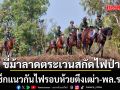 เท่จัด! ทหารขี่ม้าลาดตระเวนสกัดไฟป่า เช็กแนวกันไฟรอบห้วยตึงเฒ่า-พล.ร.7