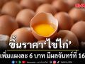 ขึ้นราคาไข่ไก่ ปรับเพิ่มแผงละ 6 บาท มีผลจันทร์ที่ 16 มี.ค.
