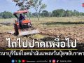 ชาวนาบุรีรัมย์ ไถนาไปปาดเหงื่อไป กังวลน้ำมันแพง กระทบต้นทุนสูง
