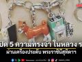 เปิด 5 ความทรงจำ ในหลวง ร.9 ผ่านเครื่องประดับ พระราชินีสุทิดาฯ