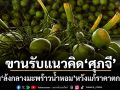 อธิบดี​กรมส่งเสริมสหกรณ์ ขานรับแนวคิดศุภจี ตั้งล้งกลางมะพร้าวน้ำหอม หวังแก้ราคาตกต่ำ