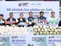 ‘แม็คโคร-โลตัส’จับมือกรมการค้าภายใน เดินหน้ากระจาย‘มะพร้าวน้ำหอม’ช่วยเกษตรกรไทย