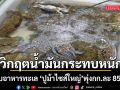 วิกฤตน้ำมันกระทบหนัก ผู้ประกอบการอาหารทะเลแสมสารอ่วม ปูม้าไซส์ใหญ่พุ่งกก.ละ 850 บาท