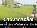 ชาวนากระอัก! \'ปุ๋ยแพง-น้ำมันขาด\' จำใจลดการใช้ลง-หวั่นข้าวนาปรังเสียหาย