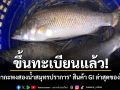 ขึ้นทะเบียนแล้ว! ปลากะพงสองน้ำสมุทรปราการ สินค้า GI ล่าสุดของไทย