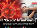 จับตา Cicada โควิดสายพันธุ์ใหม่ กลายพันธุ์สูง ระบาดเงียบแล้วกว่า 20 ประเทศ
