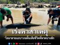 เศร้าพบโลมาลายแถบ เกยตื้นเสียชีวิตที่หาดบางสัก เจ้าหน้าที่เร่งหาสาเหตุ