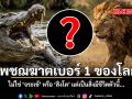 เพชฌฆาตเบอร์ 1 ของโลก ไม่ใช่ จระเข้ หรือ สิงโต แต่เป็นสิ่งมีชีวิตตัวนี้