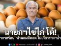 นายกสมาคมไข่ไก่โต้! ราคาพุ่งไม่เกี่ยว\'น้ำมัน\' ยันอากาศร้อน ทำผลผลิตวูบ