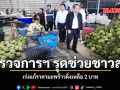 ผู้ตรวจการฯ รุดช่วยชาวสวน เร่งแก้ราคามะพร้าวดิ่งเหลือ 2 บาท