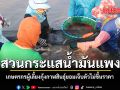 สวนกระแสน้ำมันแพง เกษตรกรผู้เลี้ยงกุ้งกาฬสินธุ์ยอมเจ็บตัวไม่ขึ้นราคา