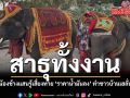 สาธุทั้งงาน น้องช้างแสนรู้เสี่ยงทาย ราคาน้ำมันลง ทำชาวบ้านเฮลั่น