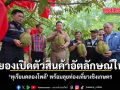 ระยองเปิดตัวสินค้าอัตลักษณ์ใหม่ ทุเรียนคลองโพล้ พร้อมลุยท่องเที่ยวเชิงเกษตร