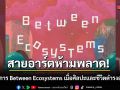 นิทรรศการ Between Ecosystems กับการดำรงอยู่ร่วมกันของระบบนิเวศทางศิลปะอย่างเท่าเทียม