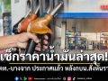 เช็กเลย! ปตท.-บางจาก ประกาศราคาน้ำมันล่าสุด หลังกบน.สั่งหั่นราคา มีผลวันนี้