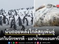 ภาพดาวเทียมฟ้อง เพนกวินจักรพรรดิ - แมวน้ำขนแอนตาร์กติก นับถอยหลังสู่สถานะใกล้สูญพันธุ์