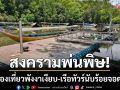 สงครามพ่นพิษ! ทำท่องเที่ยวพังงาเงียบเหงา-เรือทัวร์นับร้อยลำจอดสนิท