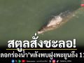 สตูลสั่งชะลอ! ‘ขุดลอกร่องน้ำ’ หลังพบฝูงพะยูน 11 ตัว-มากสุดในประวัติศาสตร์
