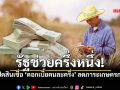 เปิดสินเชื่อ ดอกเบี้ยคนละครึ่ง ลดภาระเกษตรกร กู้สูงสุด 1 แสน รัฐจ่ายดอกเบี้ย 3%