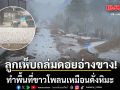 ลูกเห็บถล่มดอยอ่างขาง ทำพื้นที่ขาวโพลนเหมือนดั่งหิมะ (คลิป)