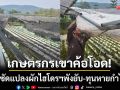 เกษตรกรเขาค้อโอด! พายุลูกเห็บซัด \'แปลงผักไฮโดรโปนิกส์\' เสียหายยับเยิน