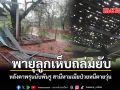 พายุลูกเห็บถล่มยับ หลังคาพรุนนับพันรู สามีหามเมียป่วยหนีตายวุ่น